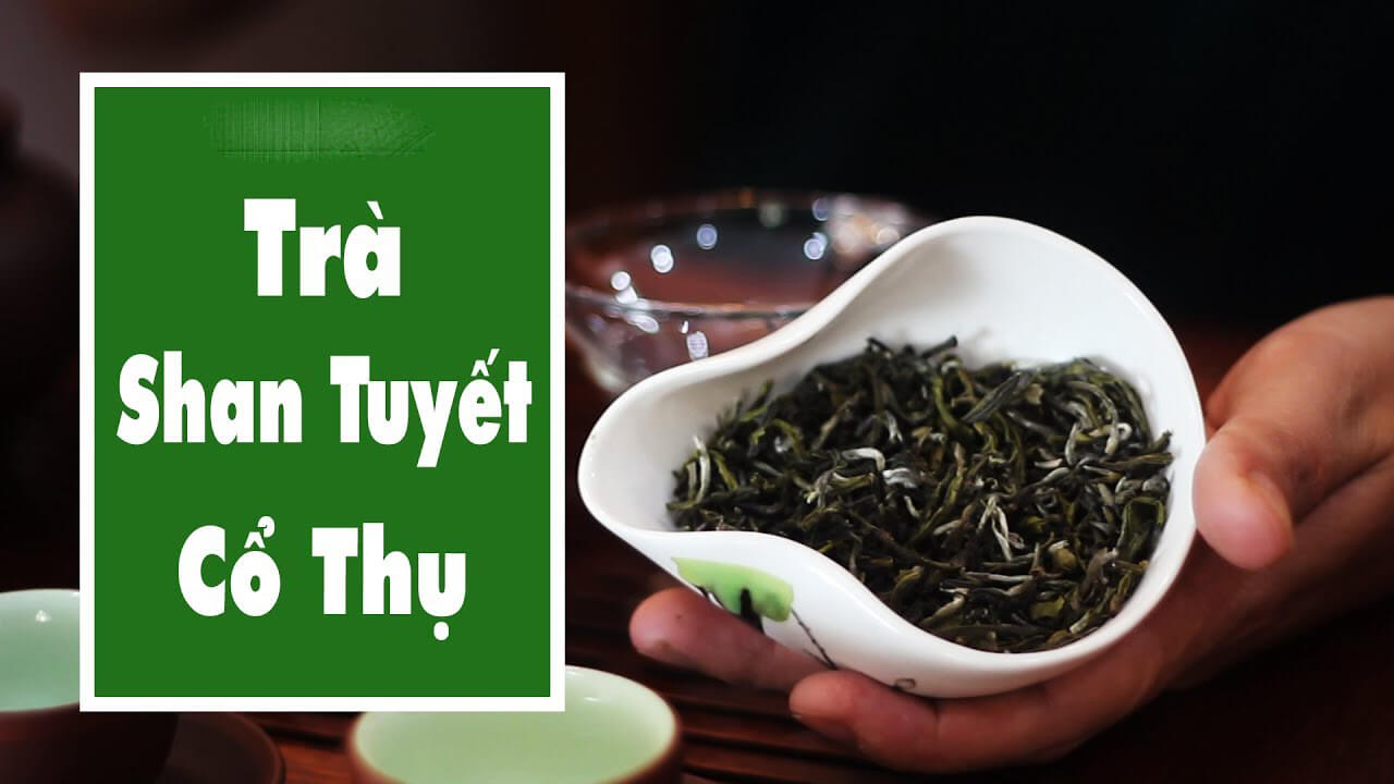 10 tác dụng của trà Shan Tuyết không thể bỏ qua