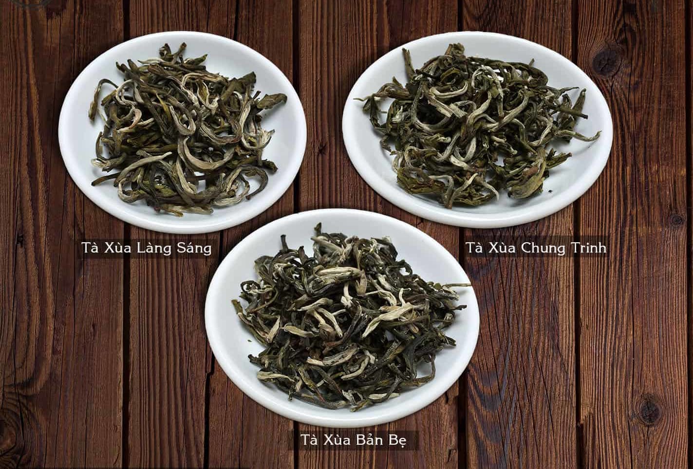 Đặc điểm nhận dạng trà Shan Tuyết Tà Xùa với các loại chè khác