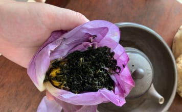 Mua Trà Ướp Sen Ở Đâu? Gợi Ý Nơi Mua Uy Tín Tại Hà Nội, TP HCM Phân biệt trà ướp hoa sen thật và trà sen hương liệu