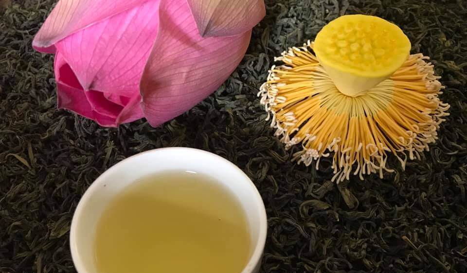 Một trong những tác dụng được nhắc đến nhiều nhất của trà sen đó là khả năng ngừa ung thư, tim mạch và đột quỵ.