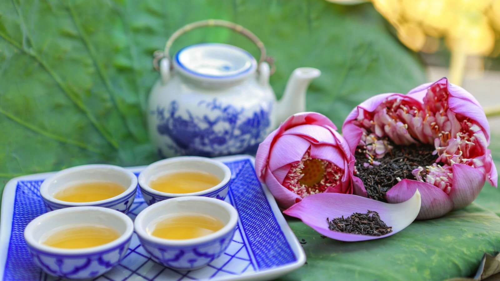 12 tác dụng của Trà Sen và trà lá sen mà bạn chưa biết